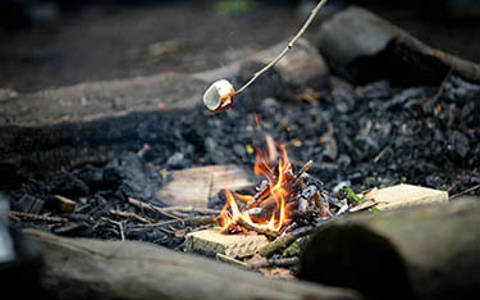 small campfire